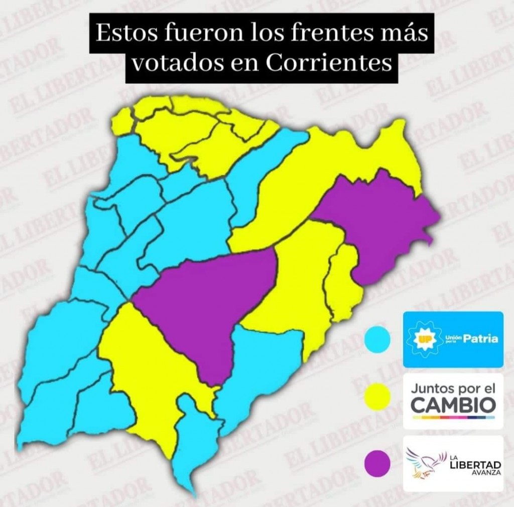 Resultados elecciones PASO en la Provincia de Corrientes.